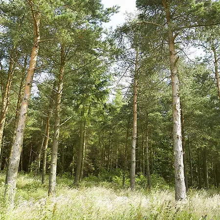 Threpnybit Vakantiehuis *