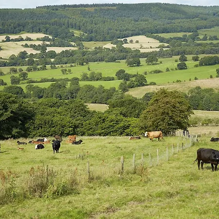 Holiday home Threpnybit Carlton (North Yorkshire)